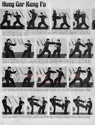 hung gar kung fu techniques